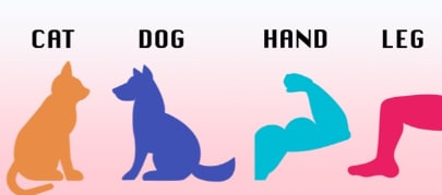 【生活英文】Cat, Dog, Hand, Leg…这些简单单字变化多，快速增加你的单字量！