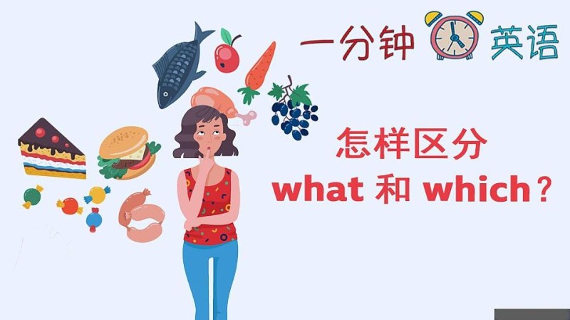 怎样区分 what 和 which？